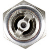 BUJIA HELLA CARABELA CF10N-7D D8EA RA6HC